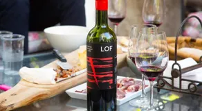 Viña LOF - Maipo Valley Bed & Breakfast in Winery - Image 4