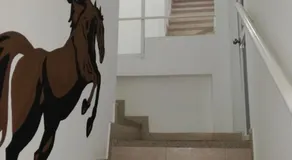 Francisco Habitaciones - Image 4