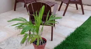 Cumbuco Residencial Dunas Beach apt.203 - Image 5