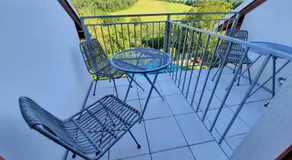Penzion Zahrada nad řekou, restaurace a kavárna - PARKOVÁNÍ GRÁTIS - Image 4