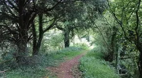 Chambres d'hôtes pleine nature - Image 5