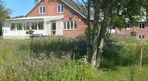 Aktivitetshuset Solhjem - Image 4