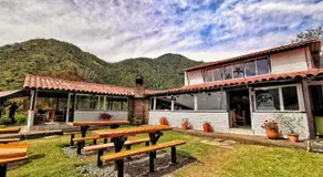 Palmas de Cocora - Image 4