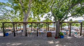Al Lago - Image 4