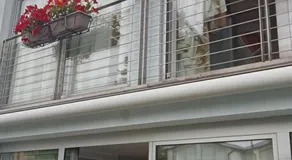 B&B Grace - Image 3