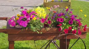 Moosewood Inn - Image 3