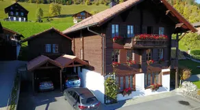 App. Seeblick Top of Interlaken - Image 5