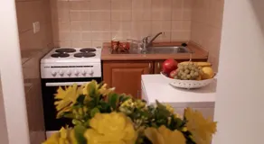 Apartman Ivana - Image 4