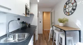 Arista Huesca - Image 5