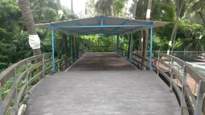 Coconut Valley - Image 4