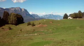 B&B Trento Nord - Image 4