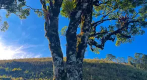 Sítio das montanhas - Image 3