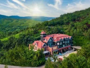 忙碌的考拉Weeknd Hotel - Image 4