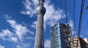 LT Oshiage - Image 4