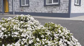 Sunny Hill View - Image 3