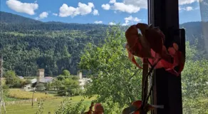 Bela's Guesthouse - Image 4