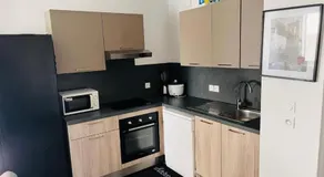 Appartement Luxueux de haut standing au cœur de Lyon avec une terrasse - Image 4