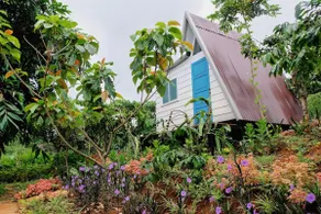 Farm Stay Accommodation - Image 4