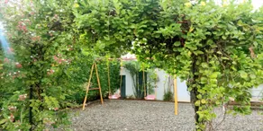 YOLOfarm 575 - Image 3