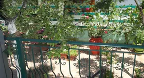 Villa Veneti - Image 5