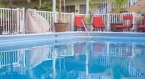 The Big Coconut Guesthouse - Gay Men's Resort - Image 4