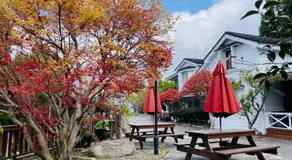He Feng Homestay - Image 3