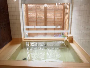 HOTEL NIKKO-KINUGAWA INN MIYASAKI - Image 5