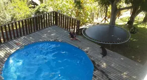 Little Lotta Cottage - Image 2