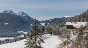 Ferienwohnung Golserhof auf 1300m - Image 3