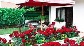 Apartmani "Vila Jelena" Arandjelovac - Image 2