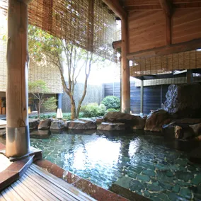 Hotel Seifuen - Image 4