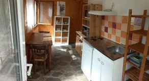 Cèdres Bleus de Joany chez Nathalie - Image 4