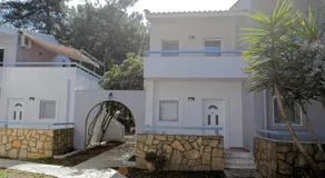BLEU- VERT - Image 5