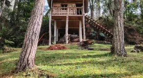 Samantha Hotel Campestre - Image 5
