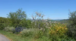 Chambre d'hôtes des Monts - Image 5