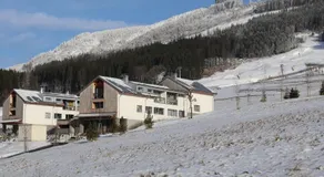 Villa in Dolní Morava near Ski Slopes - Image 5