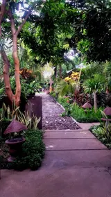 Mami In Homestay - Image 3