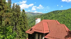 Casa Adina - Image 3
