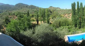 Cortijo los Bataneros y Casa Rural Albarderos - Image 5