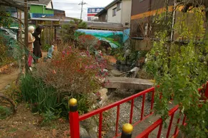 No 4 Umebayashi W Bet - No 4 - Image 4