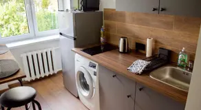 Modern Apartment in Jekabpils Nr2 - Image 3