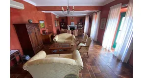 DON JULIO - Image 2