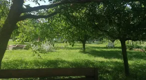 Pista Papa Tanyája - Image 5