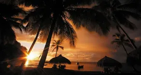 Anse Chastanet Resort - Image 5