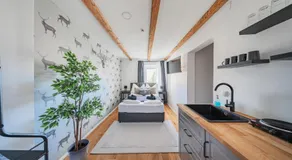 Innsbruck City Chalet - Image 3