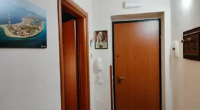B&B Max - Image 4