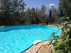 Farmhouse in a lovely park near Florence with beautiful pool among olive trees - Image 5