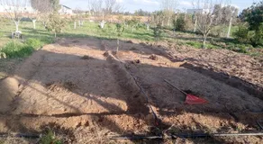 My small farm 20 minutes from Kénitra Behind Kénitra Atlantic Free Zone - Image 5