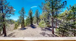 Timberline Vista - Image 5