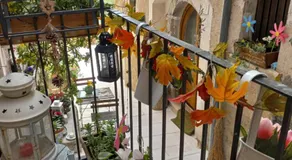 L'Armonica di Nonno Sandro - Image 4